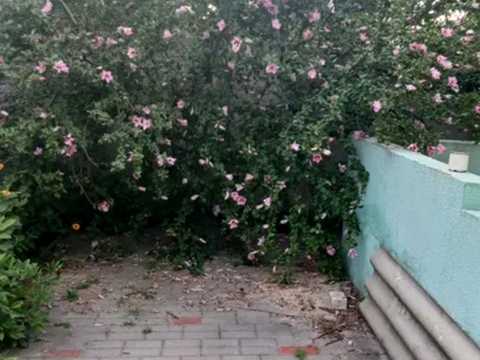 дом по адресу Ингульская ул. (Кировоградская)