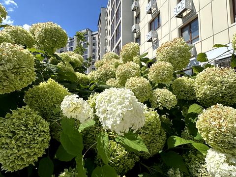 квартира по адресу Сумгаитская ул., (Будинок)