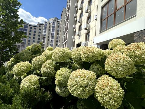 квартира по адресу Сумгаитская ул., (Будинок)