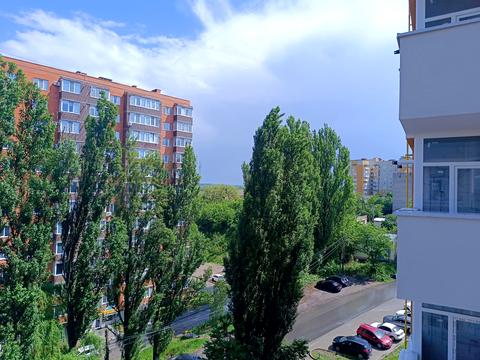 квартира за адресою Костя Широцького вул. (Щорса), (Будинок)