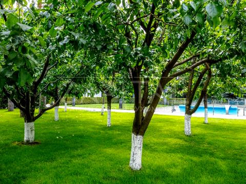будинок за адресою Лебедина вул. (Постишева)