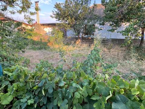 будинок за адресою Миколаїв, Якова Бутовича вул. (Щорса)