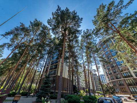 квартира по адресу Радистов ул., 34-А