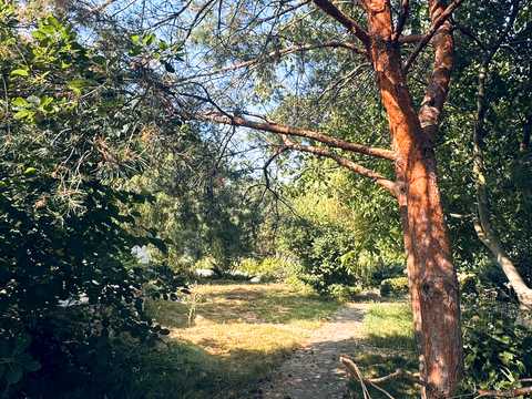 будинок за адресою с. Ксаверівка, Соборна