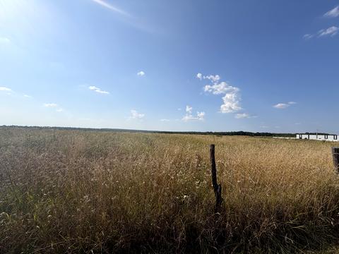 ділянка за адресою с. Якушинці, Липова