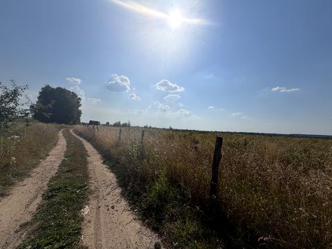 ділянка за адресою с. Якушинці, Липова
