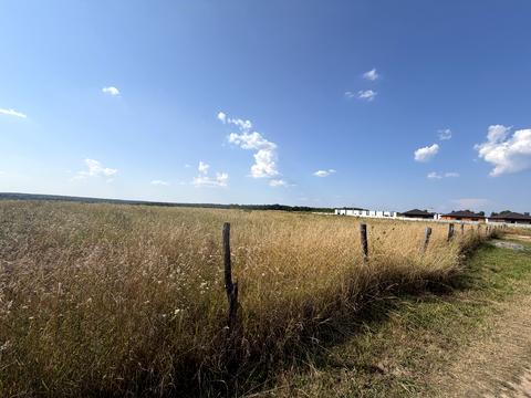 ділянка за адресою с. Якушинці, Липова