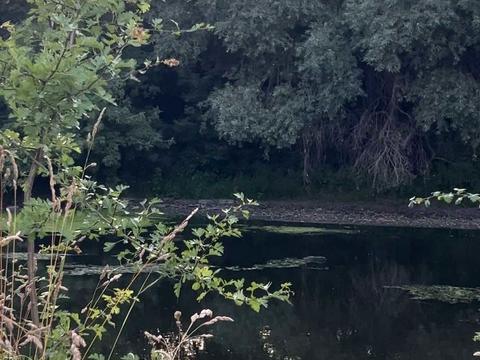 будинок за адресою с. Городок, Ніни Майструк