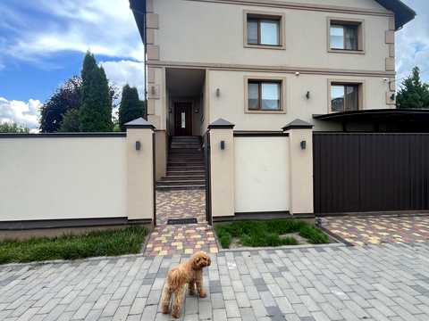 будинок за адресою Абрикосова