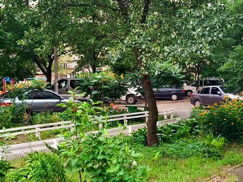 квартира по адресу Армянская ул., 11