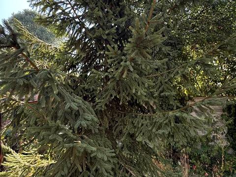 будинок за адресою Олени Теліги вул. (Лермонтова)