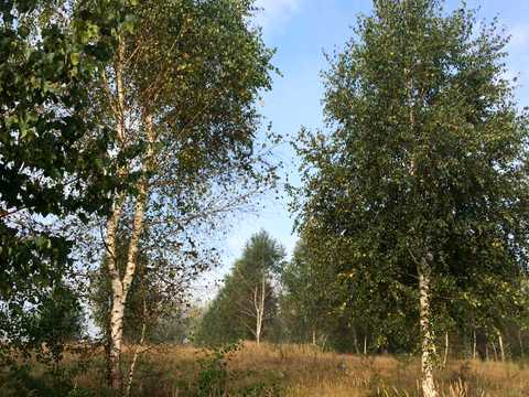 будинок за адресою Лугова