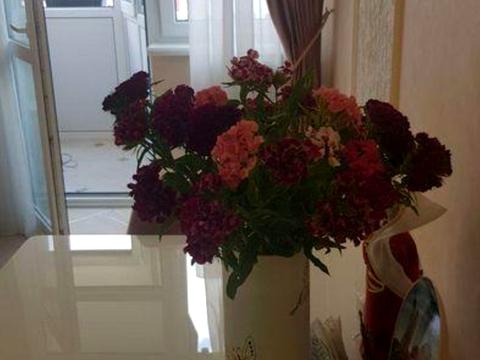 квартира за адресою Київ, Юлії Здановської вул. (Ломоносова), 71-Б