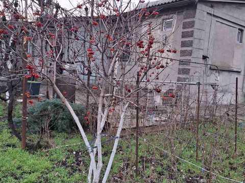 будинок за адресою Четверта вул., 8