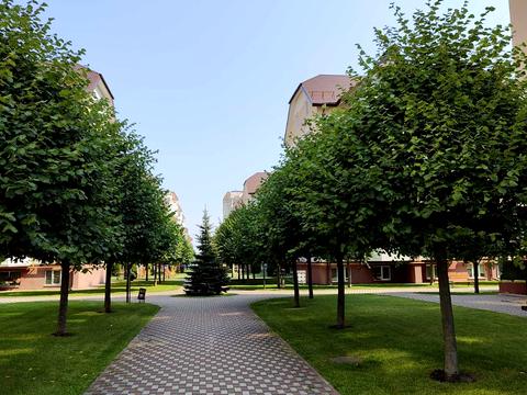 квартира за адресою Бориса Гмирі вул., 20-А