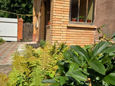 квартира за адресою Шевченка бульв., 9