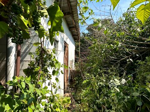 будинок за адресою липова осада, 67