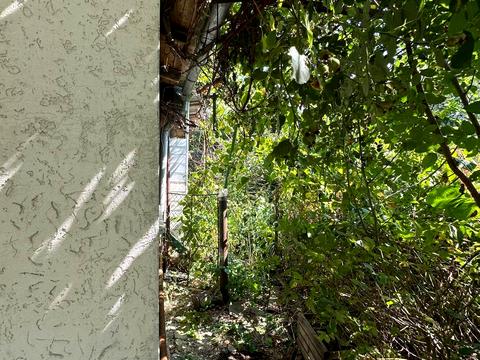 будинок за адресою липова осада, 67