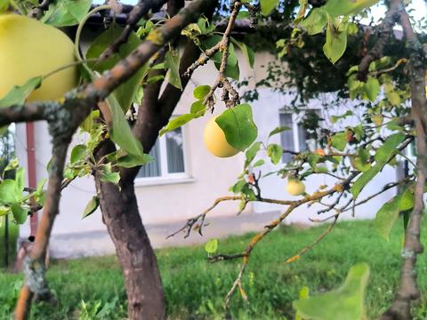 будинок за адресою Юлії Миндик вул.