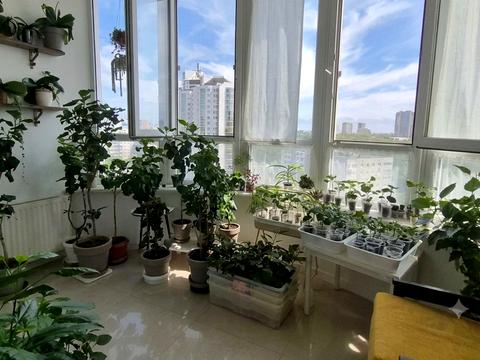 квартира по адресу Кленовая ул., 2а