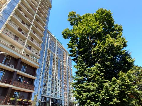квартира по адресу Французский бульв., 60в