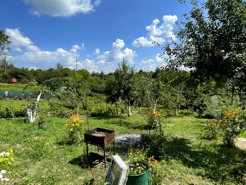 ділянка за адресою с. Стуфчинці, 