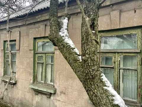 дом по адресу Єднання ул.