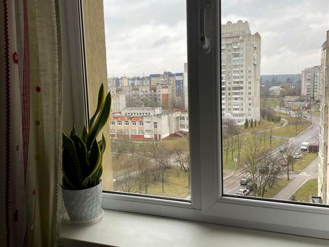квартира за адресою Коломийська вул., 12
