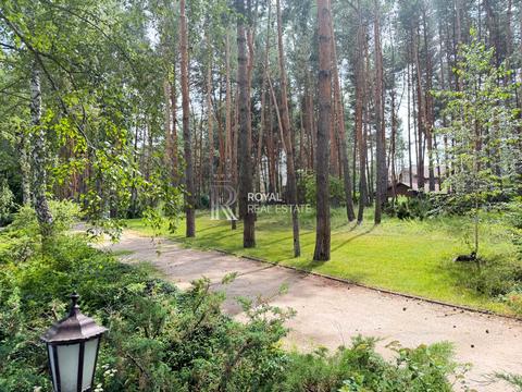 дом по адресу Лісова ул.