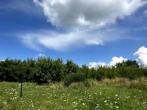 ділянка за адресою Чернівці, Димківський 1-й пров.