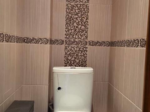 квартира за адресою Кургузова вул., 3-Б