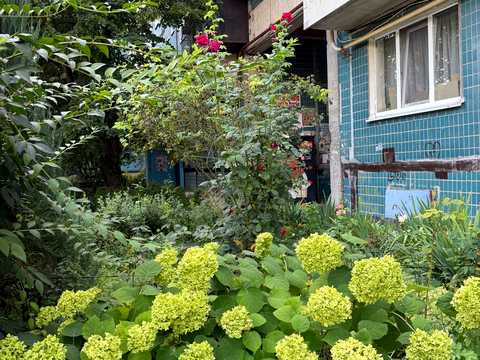 квартира за адресою Штабний пров., 5