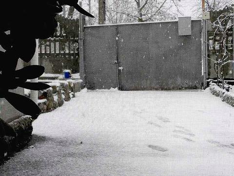 дом по адресу Сиреневая ул.
