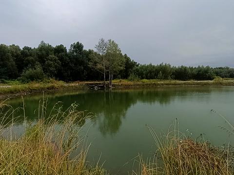 квартира по адресу Героїв Крут ул., 10