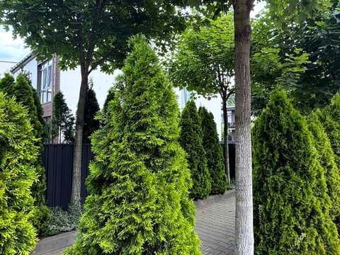 будинок за адресою Найкраща вул. (Ломоносова), 74