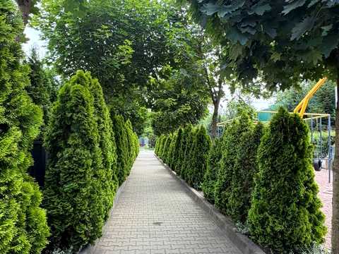 будинок за адресою Найкраща вул. (Ломоносова), 74
