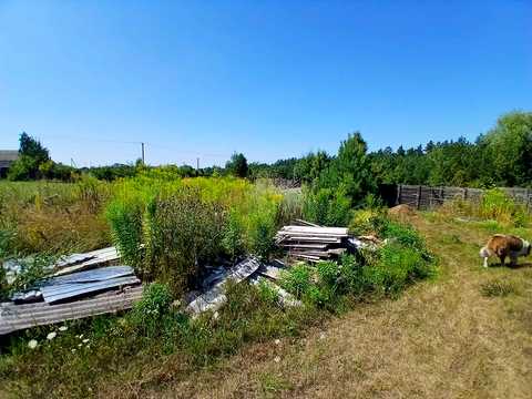 ділянка за адресою с. Левків, О.Шахрая, 8
