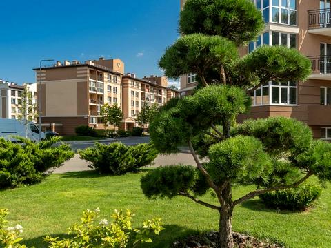 квартира по адресу Метрологическая ул., 31