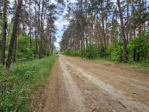 ділянка за адресою Річна вул., 27