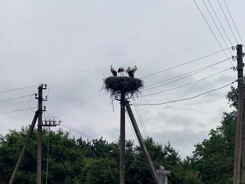 дом по адресу с. Валок, Центральна