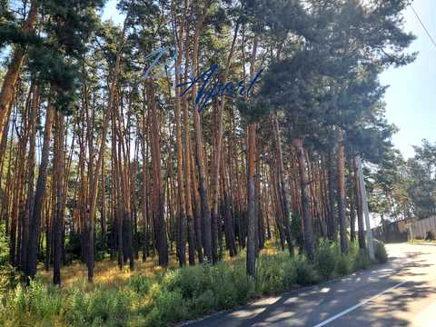 дом по адресу Шевченка ул., 173