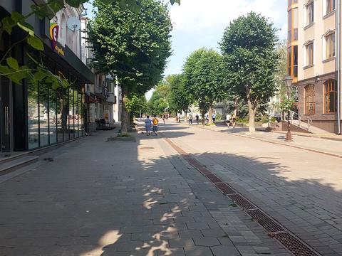 квартира за адресою Лесі Українки вул., 16