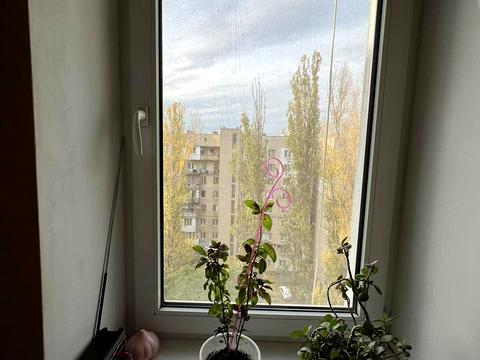 квартира за адресою Давида Ойстраха вул. (Затонського), 24/3