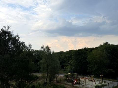 квартира за адресою Пасічна вул., 49б