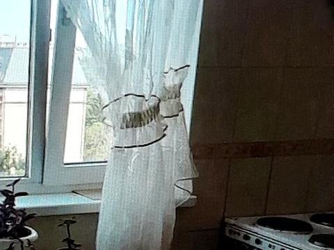 квартира по адресу Академика Ляпунова ул., 9