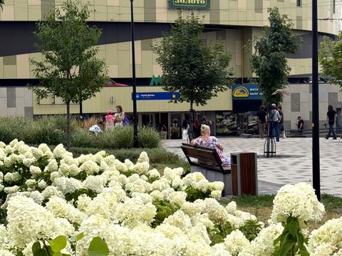 квартира за адресою Оболонський просп., 40