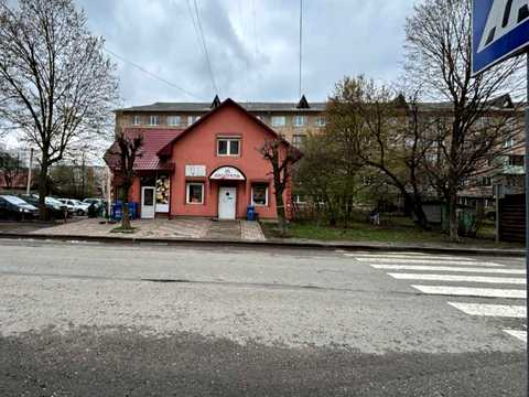 комерційна за адресою Миколи Лисенка вул., 3