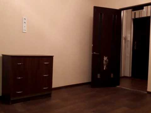 квартира за адресою Новобузька вул., 91