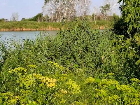будинок за адресою Старочумацька вул. (Байкальська), 100