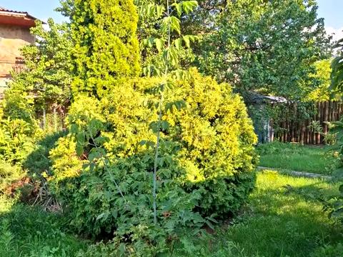будинок за адресою Старочумацька вул. (Байкальська), 100